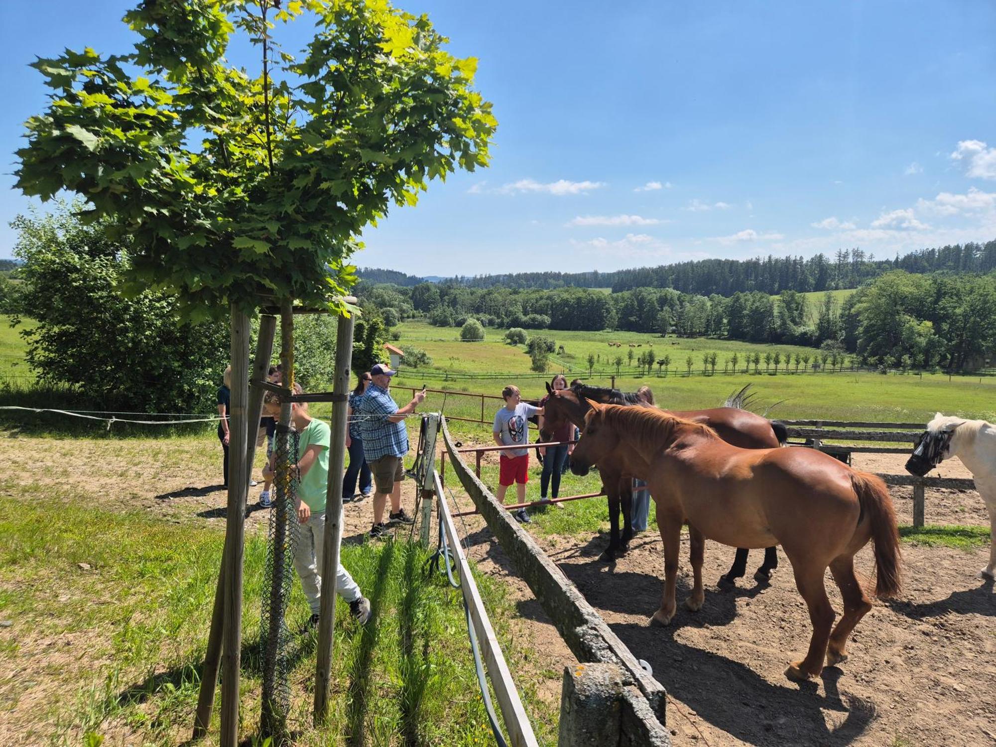Hotelovy A Jezdecky Areal Dvur Krutenice Exterior photo