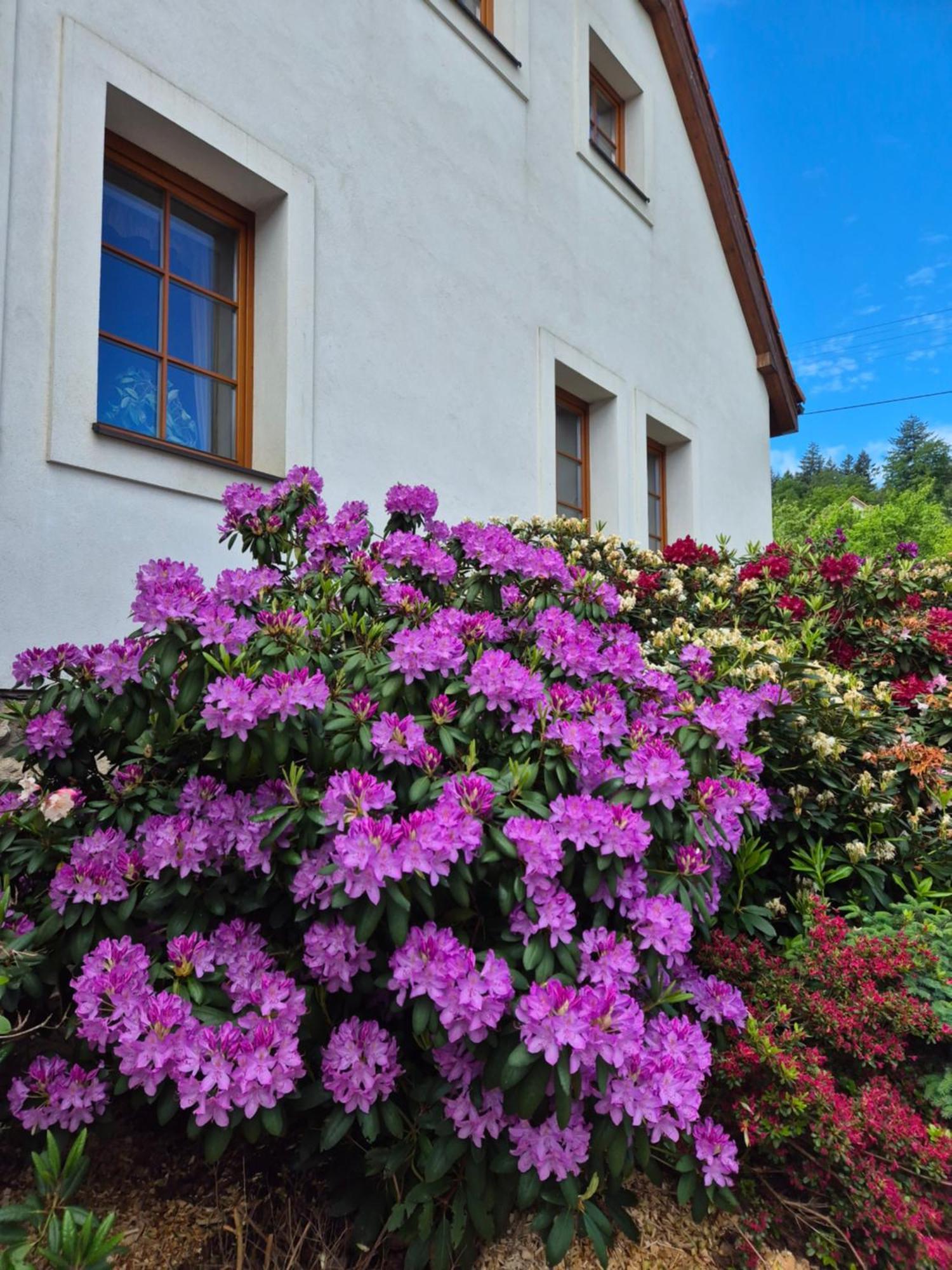 Hotelovy A Jezdecky Areal Dvur Krutenice Exterior photo