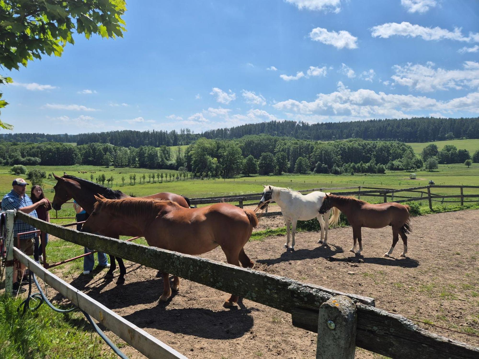 Hotelovy A Jezdecky Areal Dvur Krutenice Exterior photo