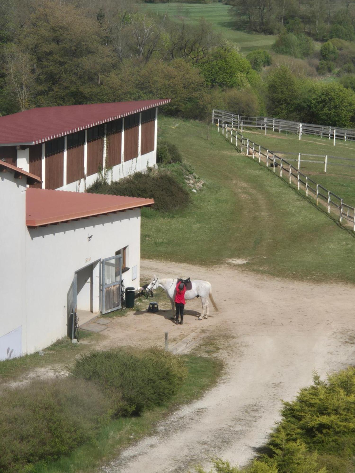 Hotelovy A Jezdecky Areal Dvur Krutenice Exterior photo
